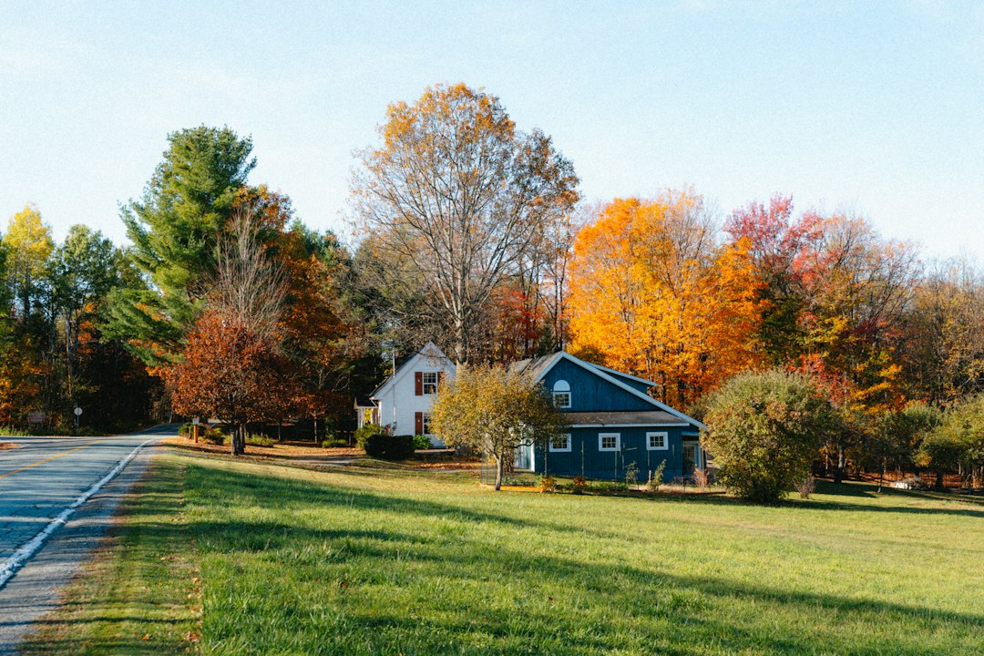 Two suburban houses nestled among colorful autumn trees in Maryland